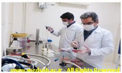 انجام3هزارو 700آزمایش شیمیایی ومیکروبی بر روی مواد غذایی و بهداشتی انجام3هزارو 700آزمایش شیمیایی ومیکروبی بر روی مواد غذایی و بهداشتی